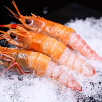 顺鑫贝海鳌虾日料刺身海捕鲜活船冻超大鳌虾生吃虾即食甜虾海鲜水产