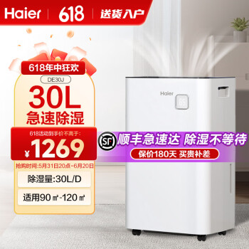 海尔（Haier）除湿机/抽湿机 除湿量30升/天 家用轻音防霉抽湿器吸湿器地下室档案室干燥机干衣机DE30J