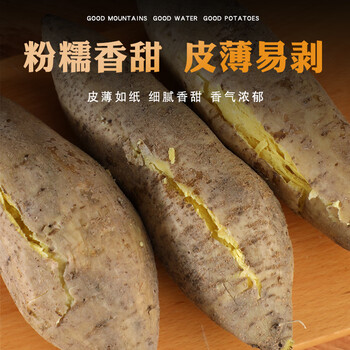 京营广东潮汕农家自种现挖新鲜板栗薯香甜粉糯白皮鸡蛋黄番薯地瓜1斤