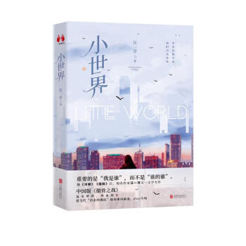 小世界：著名旅美作家汪一洋继《洋嫁》后又一力作，当代都市30+新女性独立宣言，都市女性的生存指南