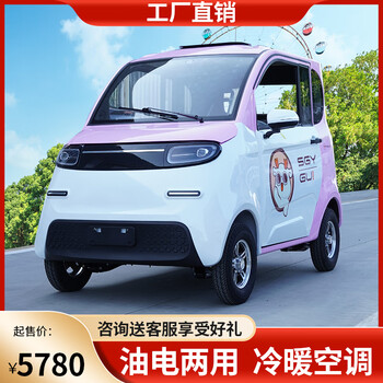 金蒄澎新能源新款电动四轮车女士小型家用汽车油电两用代步车电瓶轿车
