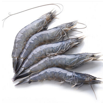 益雅鲜 文莱蓝虾 刺身虾 21-30只/kg 虾 大虾 白虾 海虾 海鲜水产 51