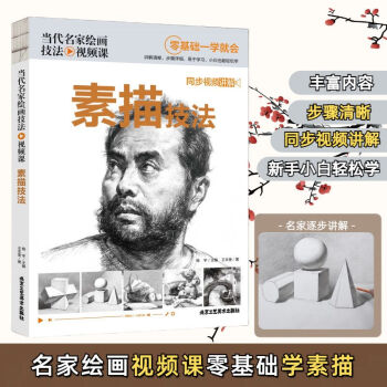 当代名家绘画技法视频课-素描技法 同步视频讲解 零基础一学就会 无颜色 无规格