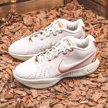 耐克nikelebron21lbj21勒布朗詹姆斯21篮球鞋fv2346001fv234600141