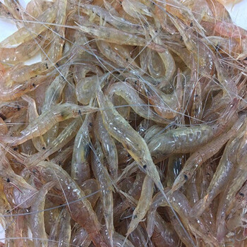 新鲜小河虾小湖虾现捕草虾青虾速冻 小河虾(3斤超值装)【图片 价格