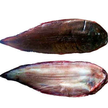 500g威海鲜活冷冻野生新鲜巴沙鱼小子板鱼鳎目鱼小牛舌鱼