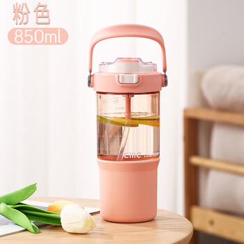 希乐(xile)水杯女生高颜值大容量夏天提手水杯双饮口tritan无异味吸管