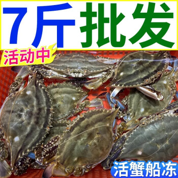 螃蟹整箱商用批发飞蟹白蟹海鲜水产 3500g【6两