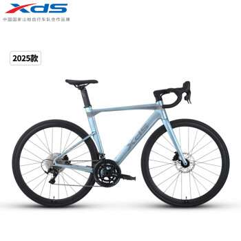 喜德盛（xds）公路车25-AD300油碟UCI车架2x10速中空一体牙盘桶轴车银蛇450MM