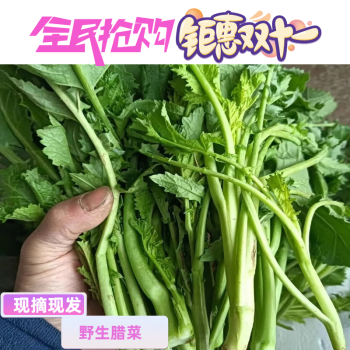 湖北特產農民自己現採現摘現發新鮮野臘菜臘菜薹臘菜野油菜雪裡紅野臘