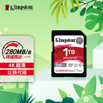 ʿ٣Kingston1TB SD洢 U3 V60 4K ڴ濨 280MB/s д150MB/s