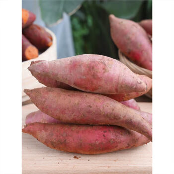 沙地红薯新鲜蜜薯糖心10斤农家自种沙地沙地蜜薯新鲜上市1斤