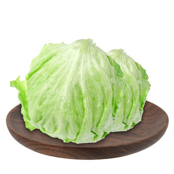 球生菜 新鲜蔬菜 圆生菜 西餐沙拉 蔬菜沙拉 鲜嫩多汁 凯撒沙拉 科布