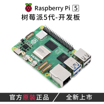丢石头 树莓派5代 Raspberry Pi 5开发板 Linux电脑 python编程 入门主板 8GB 单独主板