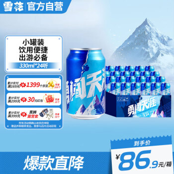 雪花啤酒（Snowbeer） 勇闯天涯 330ml*24听整箱装  经典实惠装 