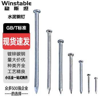稳斯坦 WSX03 水泥钢钉 铁钉 水泥钉子 木工钉 墙钉 高强度 30mm（0.4公斤）