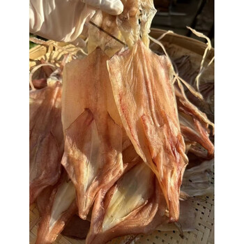 晒穿孔灯光鱿海南淡干无盐海鲜干货尤现捕船晒水晶大鱿鱼干500g15条a