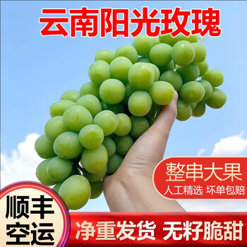 晨臻顺丰空运云南阳光玫瑰香印青提国产晴王葡萄无籽清香纯甜2斤精选