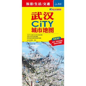 2024年 武汉地图 85*59厘米 地铁景点街道 纯质纸 CITY城市交通旅游图