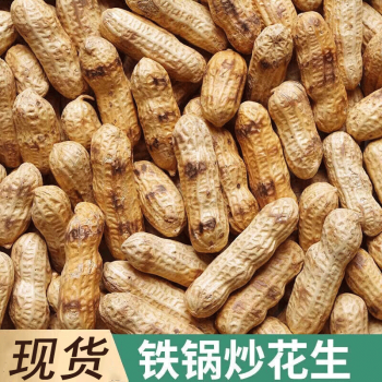 駝背熊農家炒花生帶殼熟原味柴火花生炒貨零食小吃休閒食品年貨熟原味