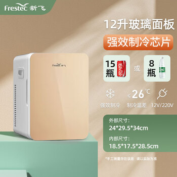 天京统一新飞迷你小冰箱小型mini学生宿舍美妆一人冷藏车载家两用母乳