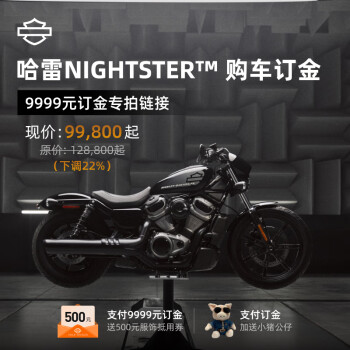 哈雷戴维森harleydavidsonnightster