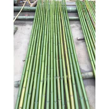 青竹杆竹竿竹子竹片防腐竹新鲜青竹菜架竹旗杆横幅杆装修竹竿篱笆毛竹2公分粗1米长 根起发 图片价格品牌报价 京东