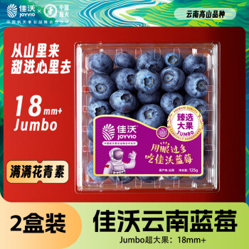 佳沃（joyvio）云南当季蓝莓大果18mm+ 2盒装 约125g/盒 新鲜水果
