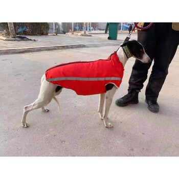 格力犬狗衣服灵缇惠比特犬衣服加绒保暖狗狗棉服棉衣拉链棉服红色xs