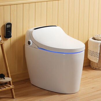 全自动翻盖马桶创意双频双模一体即热式坐便器 双频双模自动翻盖 白色