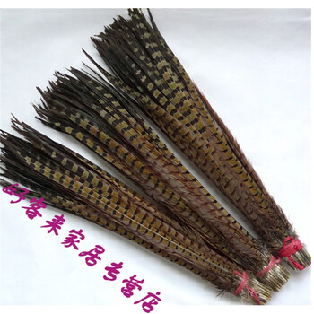 山鸡毛野鸡翎野鸡毛京剧戏曲俏花旦翎子舞台表演头饰装饰羽毛 自然色