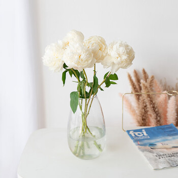 重瓣芍药进口品种(奶油碗)鲜花送礼室内装饰趣味插花 奶油碗5枝