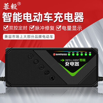 爱玛电动车充电器电动车电瓶充电器48v12ah20ah60v72伏30ah爱玛雅迪