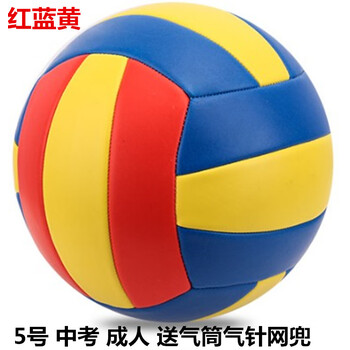 爱帛哆中考小学生专用排球5号成人训练比赛4号儿童幼儿园女初学 5号 