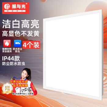 鲸与光 集成吊顶灯led嵌入式灯平板灯面板灯办公室照明灯嵌入式灯石膏板扣板灯 60*60cm白光48W 4个装