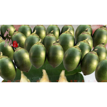 海南新鲜青槟榔果 戒烟提神水果带配料 宾郎 冰狼 2斤 生槟榔1000g