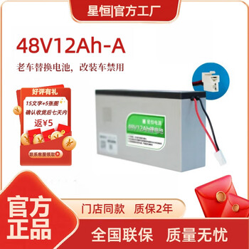 星恒48V12Ah-A款长寿王锂电池新国标雅迪爱玛台铃电动车原装锂电池 48V12Ah-A款长寿王 4812A保3年  无充电器
