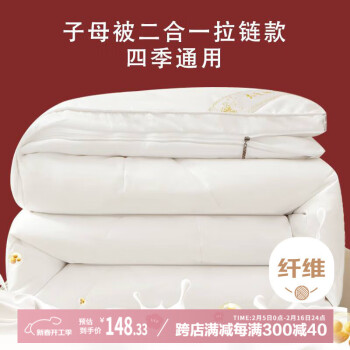 艾薇 抗菌冬被 10%大豆纤维子母被 冬季被子4+6共10斤200*230cm【白】