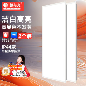 鲸与光 集成吊顶灯led嵌入式灯平板灯 面板灯办公室照明灯嵌入式灯石膏板扣板灯 30*60cm白光40W 2个装