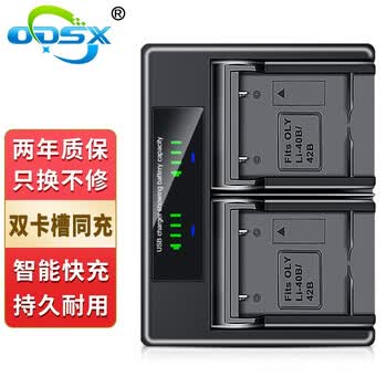 奥德盛(odsx) 富士z81 z91 t500 l55 z20相机 np-45 电池 双充充电器