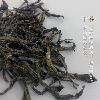 乌龙茶雪片鸭屎香茶叶潮州特级500g清香乌岽单丛茶铁盒【图片 价格