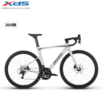 喜德盛（xds）公路车25-AD300油碟UCI车架2x10速中空一体牙盘桶轴车白蛇480MM