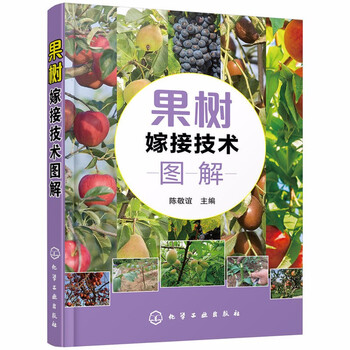 果树嫁接技术图解樱桃树杏树苹果树枣树核桃树梨树树苗嫁接方法步骤详解工具书芽接苗枝接苗管理接穗采 摘要书评试读 京东图书
