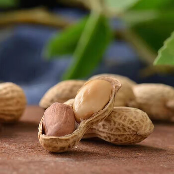 特产唠口花生熟珍珠小花生卤味山核桃味5斤年货炒货带壳新货山核桃味