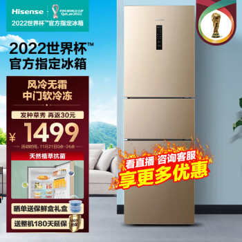 (Hisense)220˪С͵żBCD-220WYK1DQ BCD-220WYK1DQ