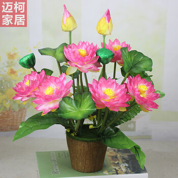 仿真荷花莲花供佛花小套装塑料假花小盆栽家居装饰摆件2束双粉色 带木盆 图片价格品牌报价 京东