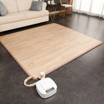 恩特思水暖毯双人水暖垫移动电热地毯地热垫家用水暖地垫183*200 183*