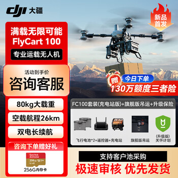 大疆DJI 大型载重无人机 FlyCart100 运输80公斤【含电池*2+降落伞+旗舰吊运系统+充电站+关怀计划升级版】提货卡