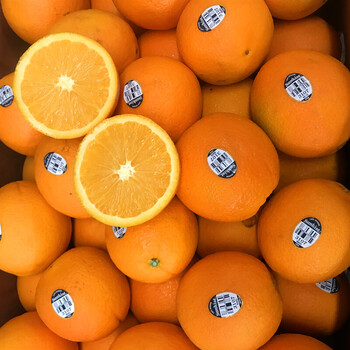 美国新奇士3107黑标橙子 sunkist新鲜孕妇生鲜水果整箱 3107黑标橙5斤