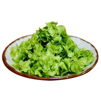 农家现摘榆钱深山榆钱儿新鲜榆钱串野菜钱串树子槐花1 5kg 图片价格品牌报价 京东